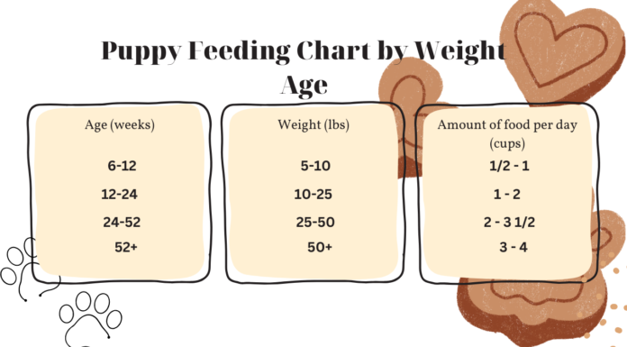 Complete Puppy Feeding Chart by Weight & Age: Your Ultimate Guide to Healthy Pup Nutrition How Much To Feed A Puppy: Chart By Weight & Age