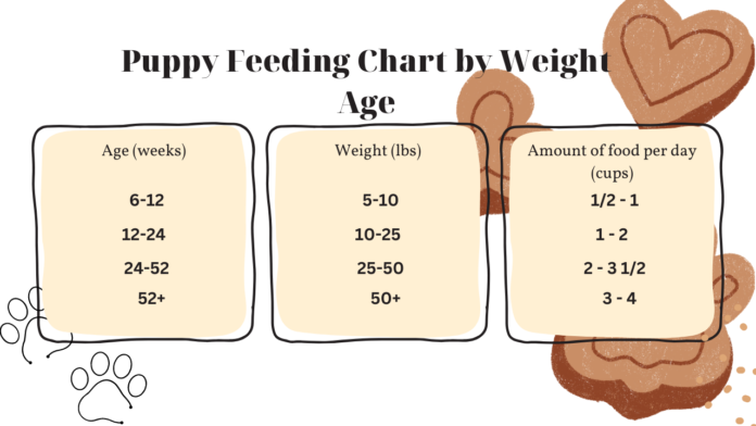 How Much To Feed A Puppy: Chart By Weight & Age