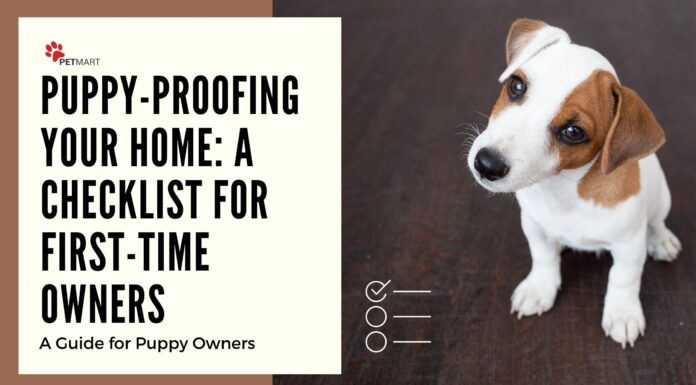 Ultimate Puppy-Proofing House Checklist: Keep Your Furry Friend Safe and Sound Puppy