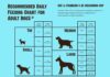 The Ultimate Guide to Authority Dog Food Feeding Chart: Keep Your Pup Healthy and Happy Authority® Everyday Health Adult Dry Dog Food