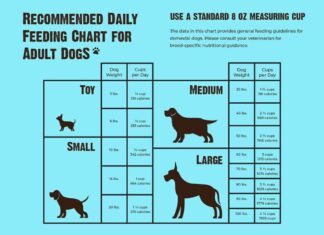 The Ultimate Guide to Authority Dog Food Feeding Chart: Keep Your Pup Healthy and Happy Authority® Everyday Health Adult Dry Dog Food