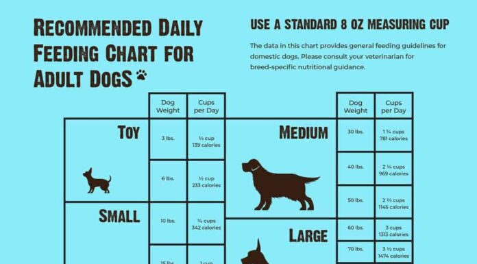 The Ultimate Guide to Authority Dog Food Feeding Chart: Keep Your Pup Healthy and Happy Authority® Everyday Health Adult Dry Dog Food