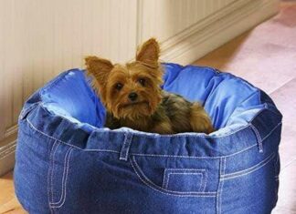The Ultimate Guide to Recycled Dog Beds: Eco-Friendly Comfort for Your Furry Friend Beds
