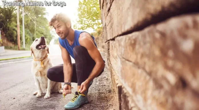 25+ Energetic Running Names for Dogs That Will Make Your Pup Stand Out Best runner name for a dog?