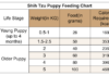 Complete Shih Tzu Feeding Chart: A Guide to Properly Nourish Your Furry Friend Shih Tzu Food Guidelines for Dogs of All Ageswww.allshihtzu.com › shih