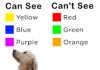 The Easiest Colors for Dogs to See: Understanding Your Furry Friend’s Vision what color is easiest for my dog to see? : r/Pets