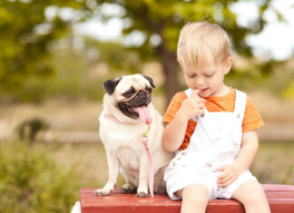 Are Pugs Good with Children? A Complete Guide to These Lovable Family Dogs Are Pugs Good with Children?