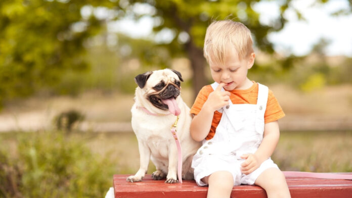 Are Pugs Good with Children?