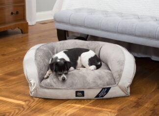 The Ultimate Guide to Finding Quality Dog Bed for Less: Smart Shopping Tips for Pet Parents Dogbed4lesswww.dogbed4less.com