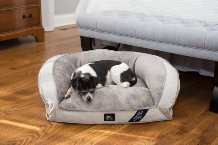 Dogbed4lesswww.dogbed4less.com