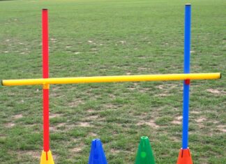 The Ultimate Guide to Dog Training Cones: Essential Tools for Effective Training Agility Training Cones