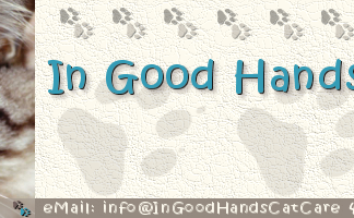 The Ultimate Guide to In Good Hands Cat Care: Everything You Need to Know In Good Hands Cat Careingoodhandscatcare.com