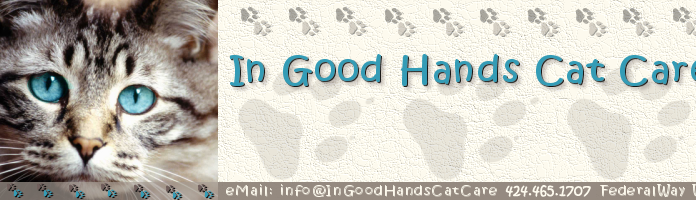 The Ultimate Guide to In Good Hands Cat Care: Everything You Need to Know In Good Hands Cat Careingoodhandscatcare.com