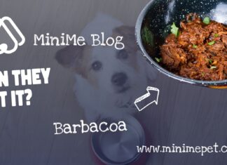 Can Dogs Eat Barbacoa? A Complete Guide to Sharing This Mexican Delicacy My dog ate Barbacoa meat on Sunday night and just now has signs of explosive diarrhea... could this be because of what