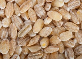 What Grains Are Best for Dogs? A Complete Guide to Healthy Grain Choices Unpacking the Controversy: Are Grains Bad for Dogs?