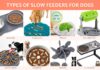 Why Use a Slow Feeder for Dogs: A Game-Changing Solution for Fast Eaters Slow