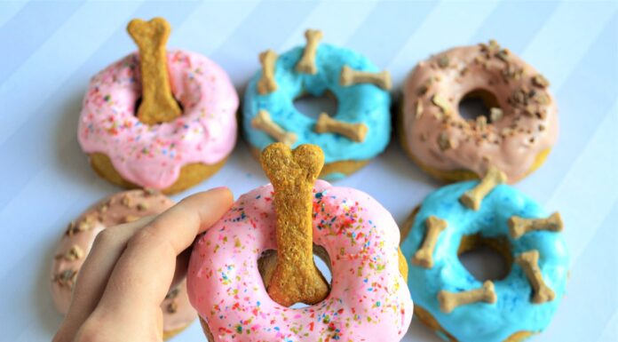 Are Donuts Good for Dogs? Here’s What You Need to Know About This Sweet Treat My dog just ate a munchkin donut from Dunkin' Donuts with jelly in it