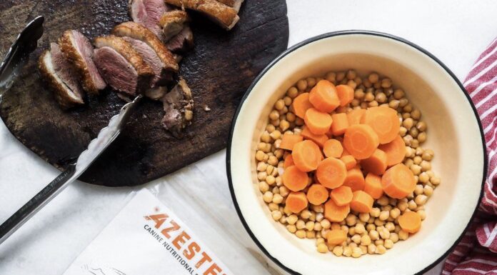 The Ultimate Guide to Making Homemade Grain-Free Dog Food: Healthy & Budget-Friendly Recipes Homemade Grain