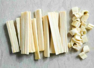 Can Dogs Eat Hearts of Palm? A Complete Guide to This Tropical Treat Can Dogs Eat Hearts of Palm? Expert Answers on Dog Health
