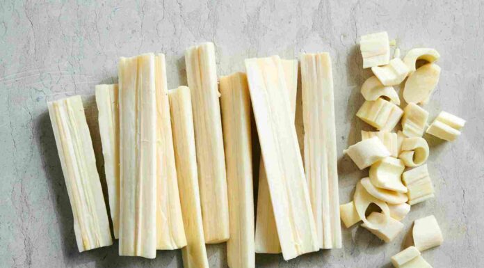 Can Dogs Eat Hearts of Palm? A Complete Guide to This Tropical Treat Can Dogs Eat Hearts of Palm? Expert Answers on Dog Health
