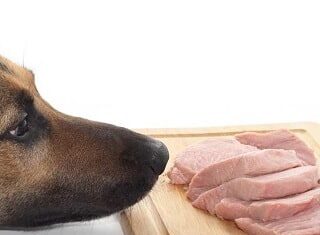 Can Dogs Eat Ground Pork? A Complete Guide to Feeding Pork to Your Furry Friend Homemade Dog Food with Pork