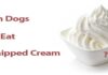 Can Dogs Eat Heavy Whipping Cream? A Complete Guide to Dairy Safety for Your Pup Stop ordering whipped cream for your dog : r/starbucks