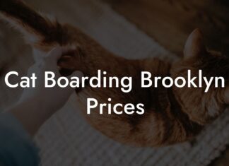 The Ultimate Guide to Cat Boarding in Brooklyn: Finding the Purr-fect Home Away from Home Cat Boarding in Brooklyn NY