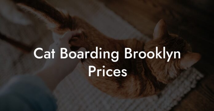 Cat Boarding in Brooklyn NY