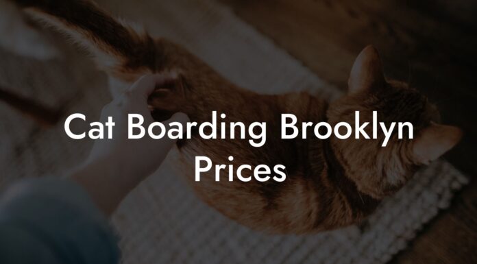 The Ultimate Guide to Cat Boarding in Brooklyn: Finding the Purr-fect Home Away from Home Cat Boarding in Brooklyn NY