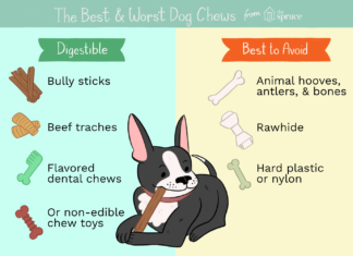 Are Nylon Chews Good for Dogs? A Comprehensive Guide to Safe Chewing What's the issue with nylon toys? It's the only toy my dog likes. : r/BarkBox