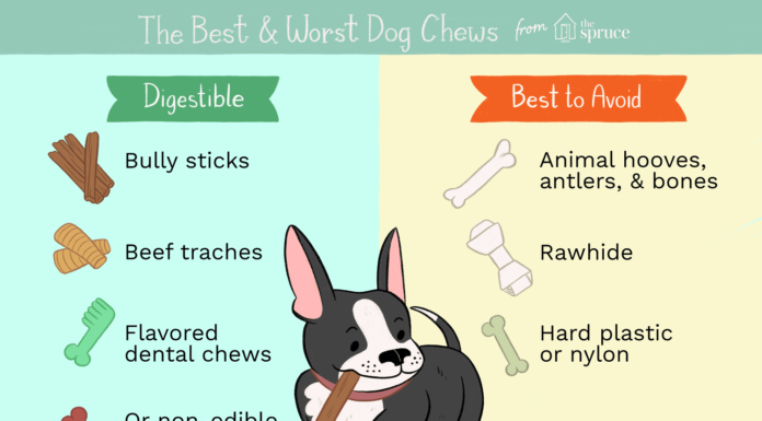 Are Nylon Chews Good for Dogs? A Comprehensive Guide to Safe Chewing What's the issue with nylon toys? It's the only toy my dog likes. : r/BarkBox