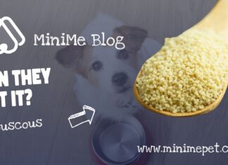 Is Couscous Good for Dogs? A Complete Guide to Feeding This Grain to Your Pup Is couscous safe for dogs to eat?