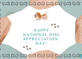 Celebrate Dog Appreciation Day: A Pawsome Tribute to Our Furry BFFs Dog Appreciation Day – Fun Holiday