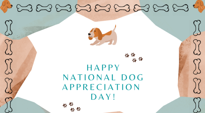 Celebrate Dog Appreciation Day: A Pawsome Tribute to Our Furry BFFs Dog Appreciation Day – Fun Holiday