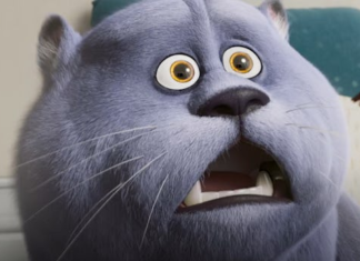 8 Best Kids Movies About Cats That Will Make Your Family Purr with Joy The 25 Best Cat Movies for Your Family