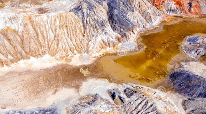 The Environmental Impact of Clay Litter: What Every Pet Owner Should Know Eco