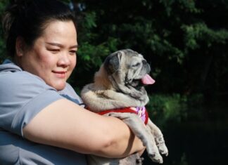 Why Do Pugs Like to Cuddle? Understanding Your Squishy-Faced Snuggle Bug anyone else have a cuddle