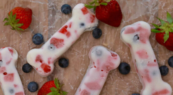 15 Refreshing DIY Frozen Treats for Dogs That Beat the Summer Heat 5 DIY Frozen Treats for Dogs with Natural