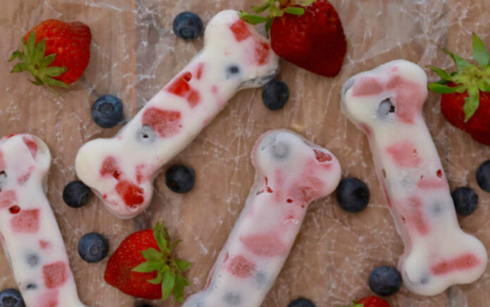 5 DIY Frozen Treats for Dogs with Natural