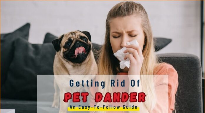 Does Vinegar Kill Pet Dander? A Natural Solution for Allergen Control How to Reduce Pet Dander and Pet Odors