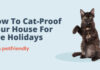 How to Cat Proof a House: A Complete Guide to Keep Your Feline Friend Safe Cat proofing advice : r/CatAdvice