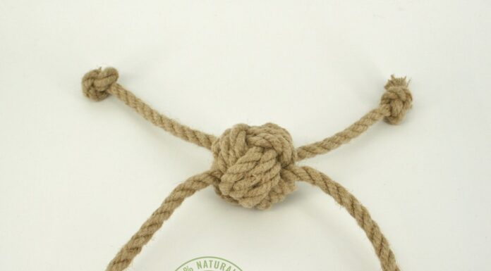 The Ultimate Guide to Hemp Dog Toys: Eco-Friendly Fun for Your Furry Friend Hemp Dog Toys