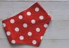 The Ultimate Guide to Styling Your Pet with a Red and White Polka Dot Bandana: A Timeless Fashion Statement Red Polka Dot Bandana