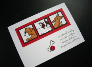 How to Welcome New Puppy: A Complete Guide for First-Time Pet Parents How to Welcome Home a New Puppy