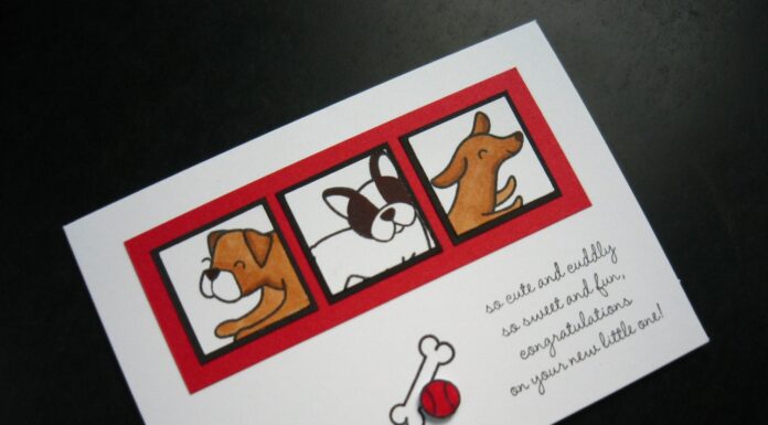 How to Welcome New Puppy: A Complete Guide for First-Time Pet Parents How to Welcome Home a New Puppy