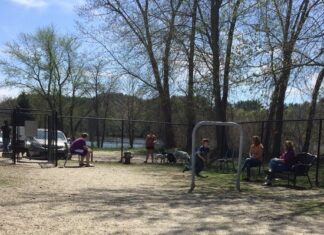 Discover the Hidden Gem: Hooksett Dog Park – Your Pup’s Perfect Playground Dog Park