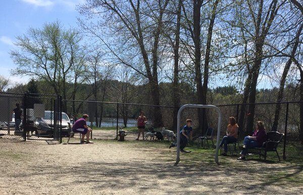 Discover the Hidden Gem: Hooksett Dog Park – Your Pup’s Perfect Playground Dog Park