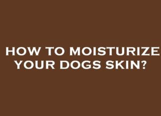How to Keep Dogs Skin Moisturized: Essential Tips for a Healthy, Happy Pup Home Remedies for Dry Dog Skin