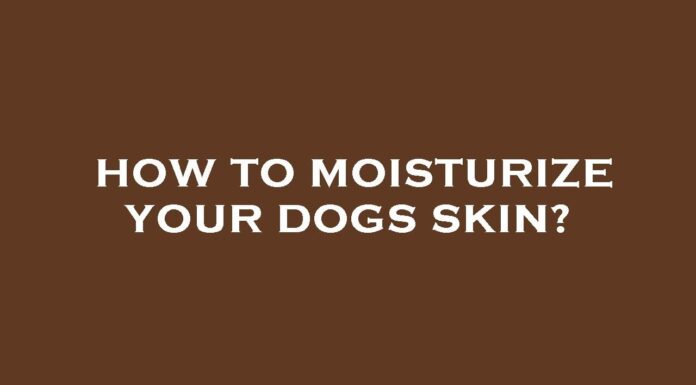 How to Keep Dogs Skin Moisturized: Essential Tips for a Healthy, Happy Pup Home Remedies for Dry Dog Skin
