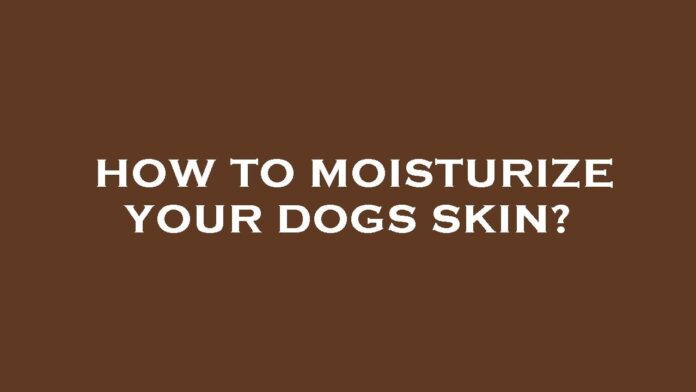 Home Remedies for Dry Dog Skin